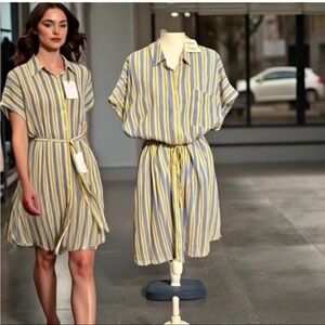 Davi & Dani stripe dress, short sleeves Shirt dress   pickaboo back dress NWT 2X